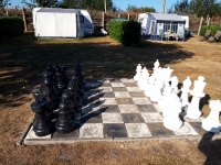 2018-08-04 09.01.57.jpg